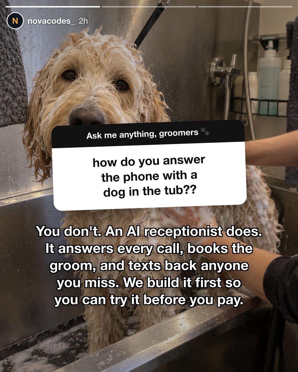 T2-ASK-GROOM
