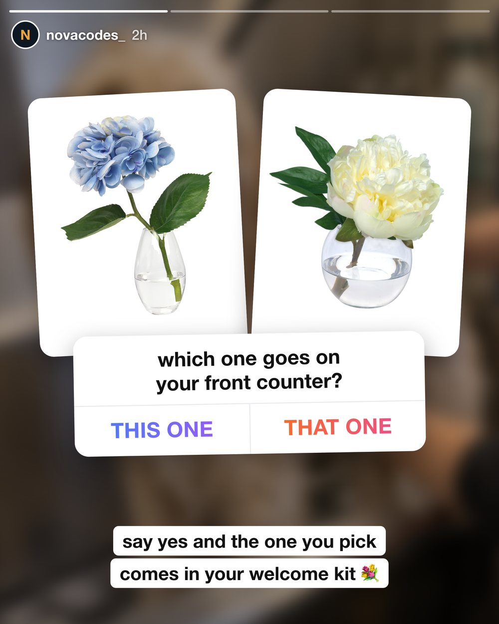 T3-BQ-POLL-GROOM