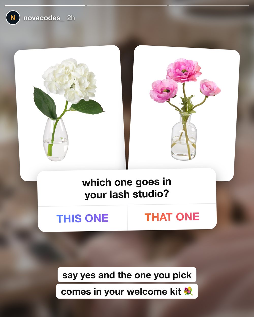 T3-BQ-POLL-LASH